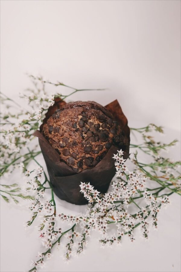 Chocolate Walnut Muffin