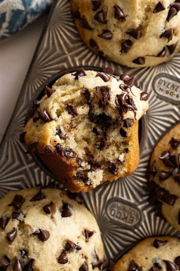 Vanilla Choco-chip Muffin